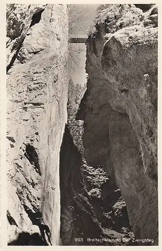 Breitachklamm/Allgäu mit Zwingsteg ngl D9110