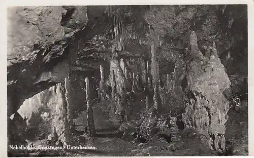 Nebelhöhle bei Genkingen-Unterhausen gl1954 D9304