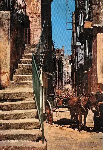 Corse Sartène Vieille Rue ngl D8218