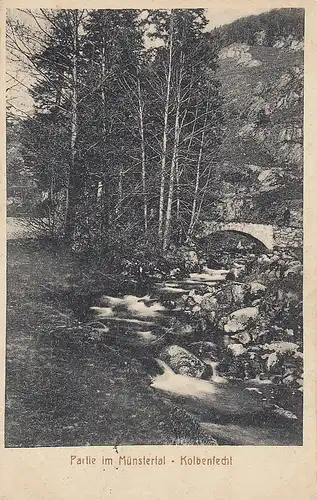 Münstertal, Kolbenlecht feldpgl1915 E0301