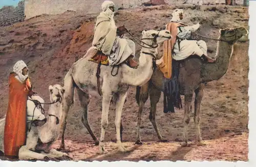 Algerien: Scène d'Afrique - Le repos dans le désert sur les chameaux ngl 223.561
