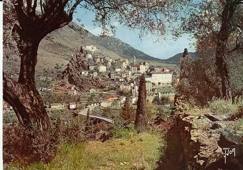 Corse Corte La ville vue à travers les oliviers ngl D8030