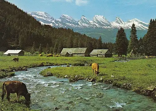 Unterwasser (Obertoggenburg), Aelpli mit Churfirsten ngl E0467