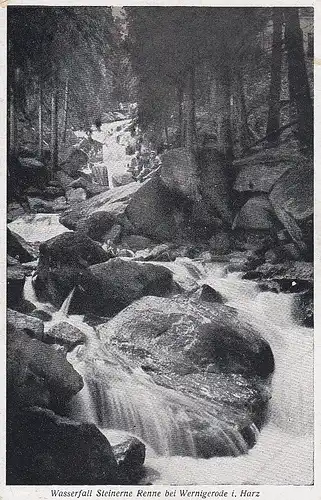 Wernigerode im Harz, Wasserfall Steinerne Renne gl1949 D9355