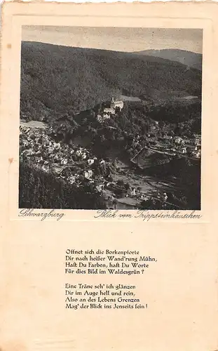 Schwarzburg Thür.Wald Blick vom Trippsteinhäuschen - mit Gedicht gl1930 154.310