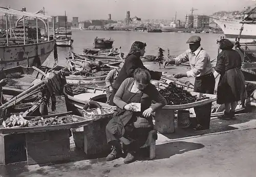 Marseille, Les "Pescadous" ngl D9992