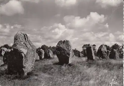 Carnac (Bret.) Les alignements de Kermario ngl E0606