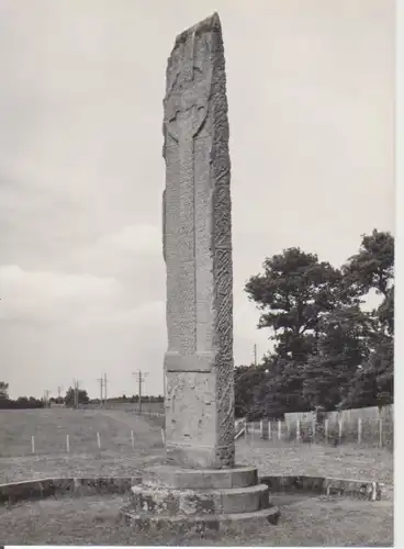 Sueno's Stone ngl 223.504