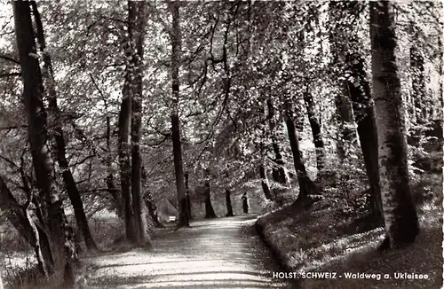 Holst. Schweiz - Waldweg am Uklei-See ngl 154.057