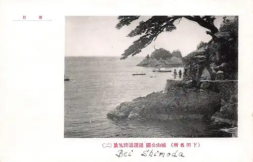 Japan Kiefernbewachsene Felsküste bei Shimoda ngl 160.260