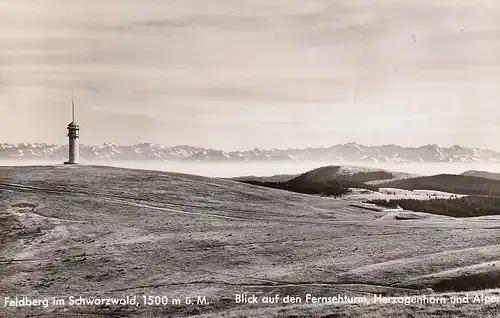 Feldberg Schwarzwald Panorama gl1959 D8513