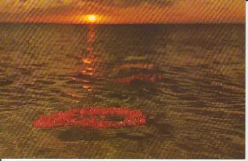 Hawaii HI Hawaiin Flower floating shoreward ngl 223.614