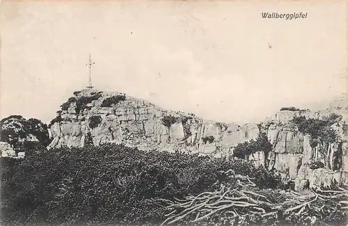 Wallberggipfel am Tegernsee feldpgl1915 154.974