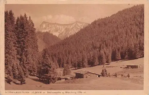 Schwarzetenn-Almen mit Halserspitz und Blauberg bei Tegernsee ngl 155.188