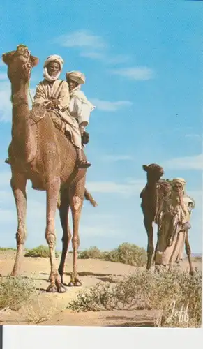 Algerien: Touaregs - Vie au désert ngl 223.558