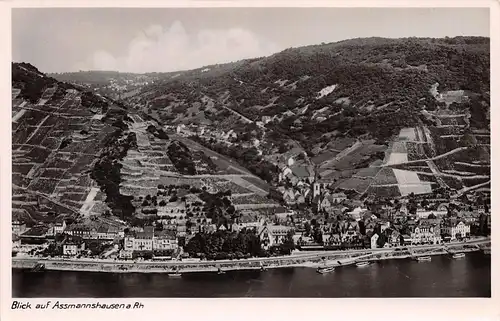 Assmannshausen am Rhein Panorama ngl 156.015