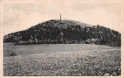 Altenberg i. Erzgeb. - Blick auf den Geisingberg gl1944 154.289