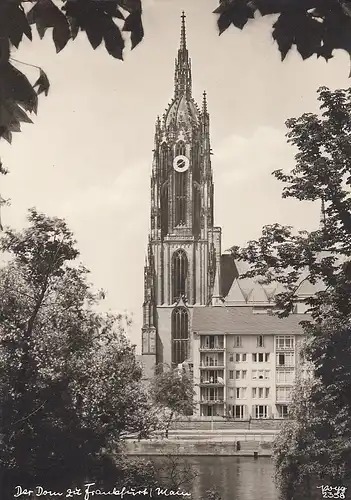 Frankfurt a. M. Dom ngl E0401