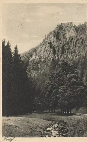 Oberhof (Thür. Wald) Der Räuberstein m.Silbergraben gl1928 E1255