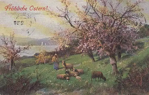 Ostern-Wünsche mit Schafen und blühenden Obstbäumen gl1910? E1362