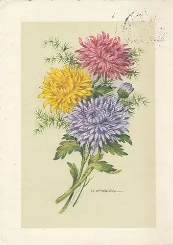 G.LAMBERT Sommerblumen gl1957 D9693