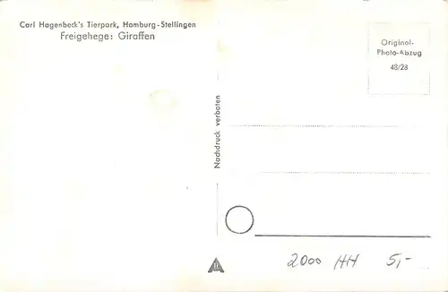 Hamburg Carl Hagenbeck's Tierpark Freigehege: Giraffen ngl 161.849