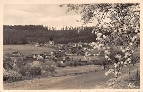Hallwangen bei Freudenstadt Panorama bahnpgl1938 157.410