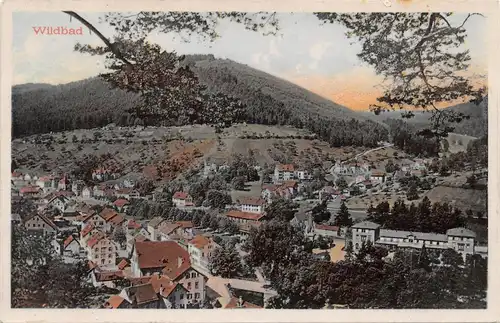 Bad Wildbad Panorama gl1917 157.542