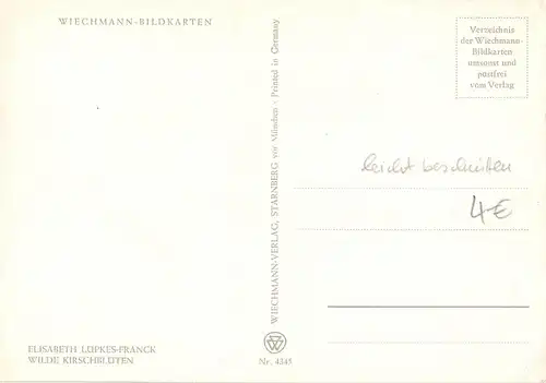 ELISABETH LÜPKES-FRANK Wilde Kirschblüten Künstlerkarte ngl 156.893