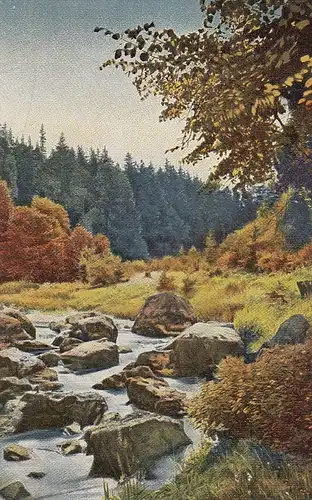 Wildbach im Herbst gl1920 E0792