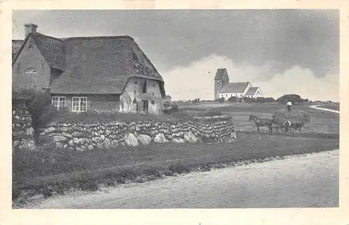 Keitum auf Sylt Landschaftsmotiv ngl 156.246