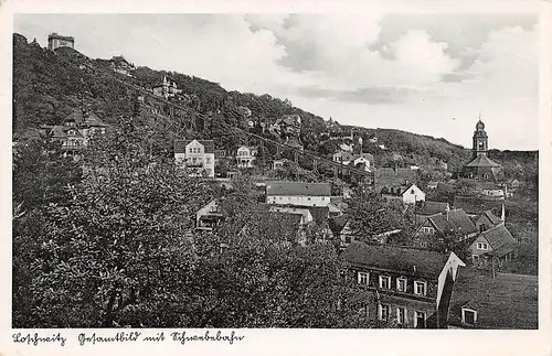 Loschwitz Panorama mit Schwebebahn gl1942 156.200