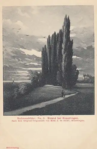 MAX J. de SURY Strand bei Kreuzlingen Bodensee ngl E0932