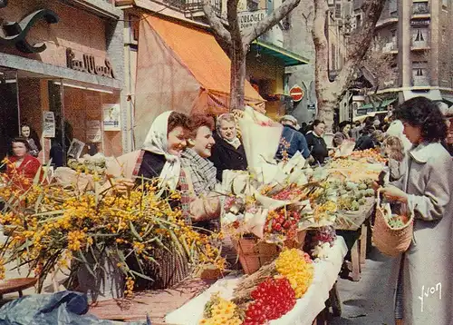 Poulon, le Marché aux Fleurs ngl D9934