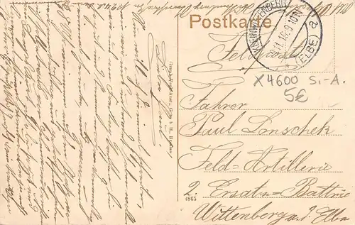 Wittenberg - Anlagen mit neuem Schwanenteich feldpgl1916 155.784