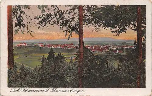 Donaueschingen Panorama gl1927 157.596