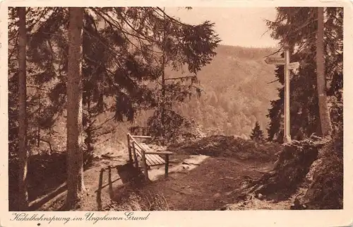 Ilmenau i. Sa. - Kickelhahnsprung im Ungeheuren Grund gl1929 158.023