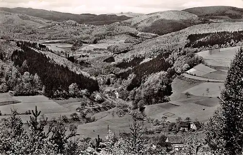 Blick durch das Weschnitztal nach Lindenfels/Odw gl1964 156.070