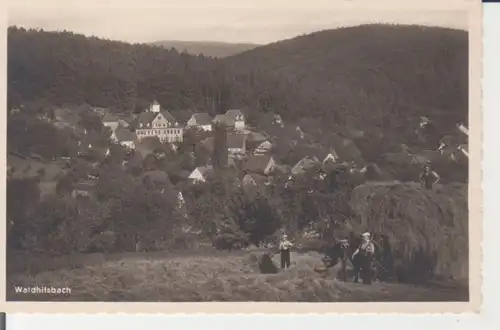 Waldhilsbach b.Heidelberg Total Heuernte Bauern Ochsenkarren gl1940 226.011