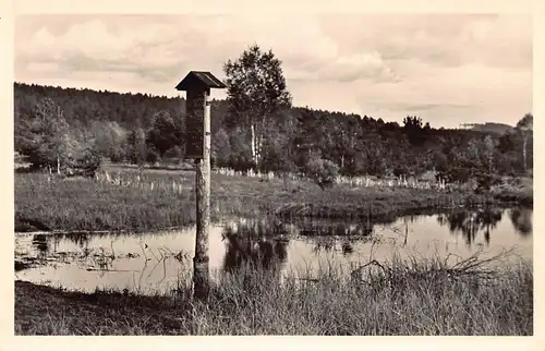 Schwenningen - Neckarursprung im "Schwenninger Moos" ngl 161.591