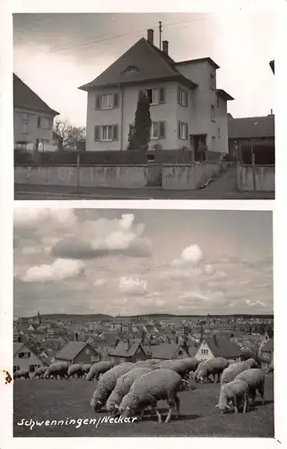 Schwenningen - Panorama mit Schafen / Wer kennt dieses Haus? ngl 161.604