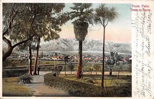 From Palm Trees to Snow gl1905 158.674