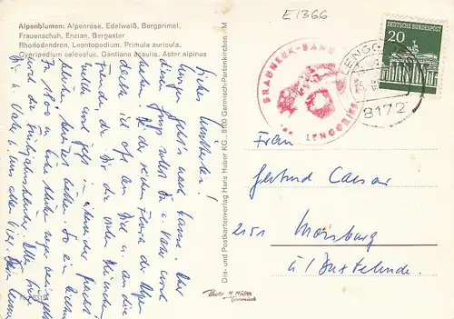Alpenblumen gl1967? E1366