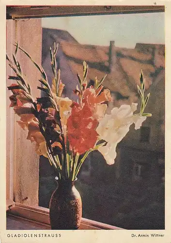 Dr.ARMIN WITTNER Gladiolenstrauß gl1954 D9695