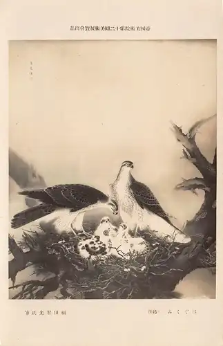 Japan Greifvogelpaar mit Jungen im Horst Künstlerkarte ngl 160.211
