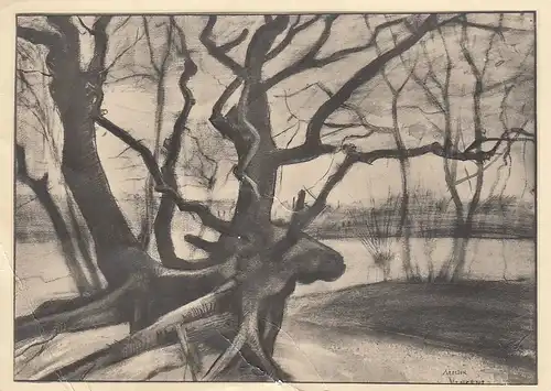 VINCENT VAN GOGH Study of a tree ngl D9670