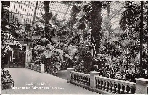 Frankfurt a.M. Palmengarten-Palmenhaus-Terrasse gl1937 161.998