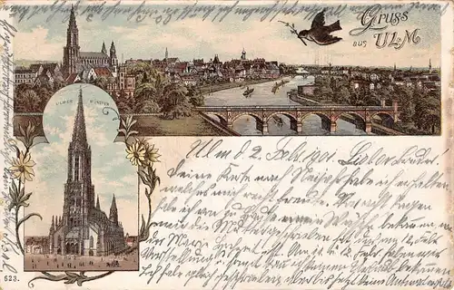 Ulm a.D. Münster Panorama gl1901 157.727