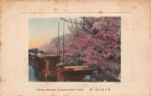 Japan Soshu - Cherry Blossoms Kanamazutsumi Kirschblüte ngl 160.425