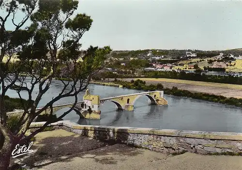 Avignon, Le Pont Saint-Bénézet vu du Rocher des Doms ngl D9914